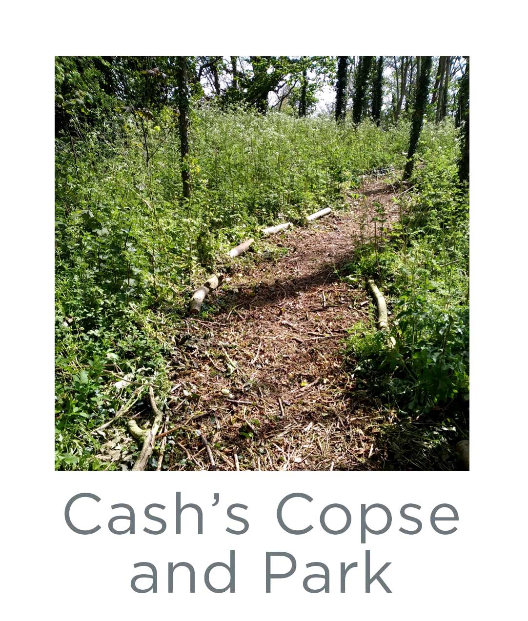 Cash's Copse and Park