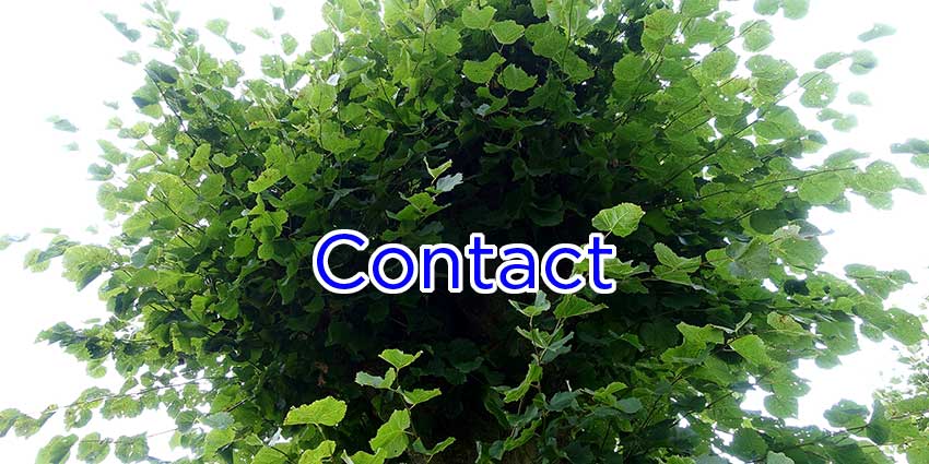 contact page