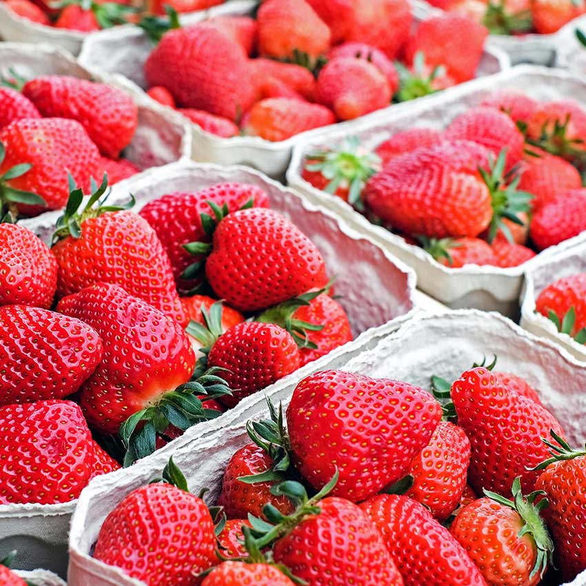 local strawberries