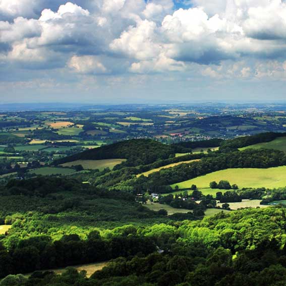 local landscape