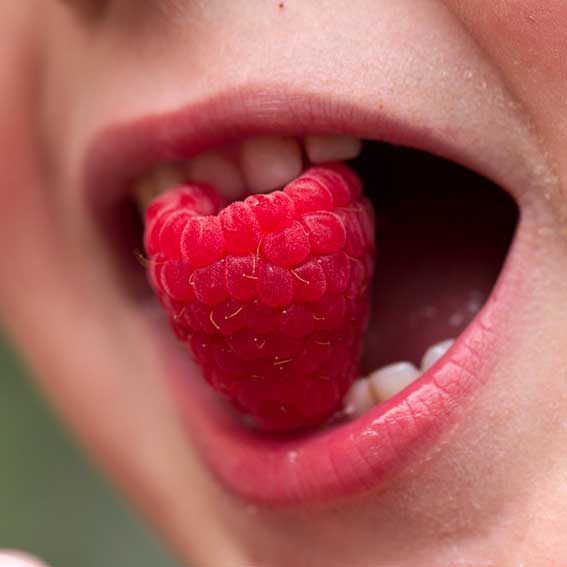 eating raspberries