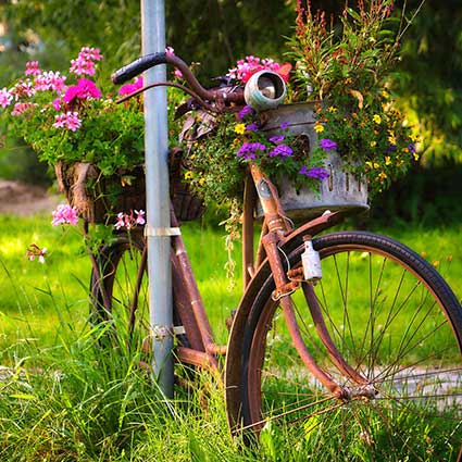 old bike